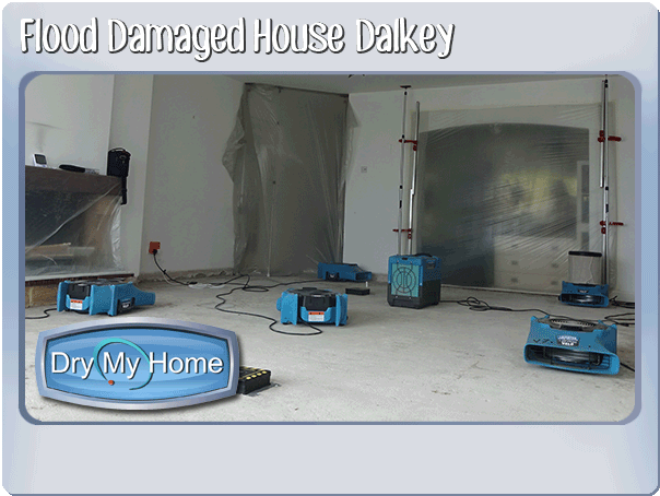 dalkey2 Dalkey Apartment heating pipe leak